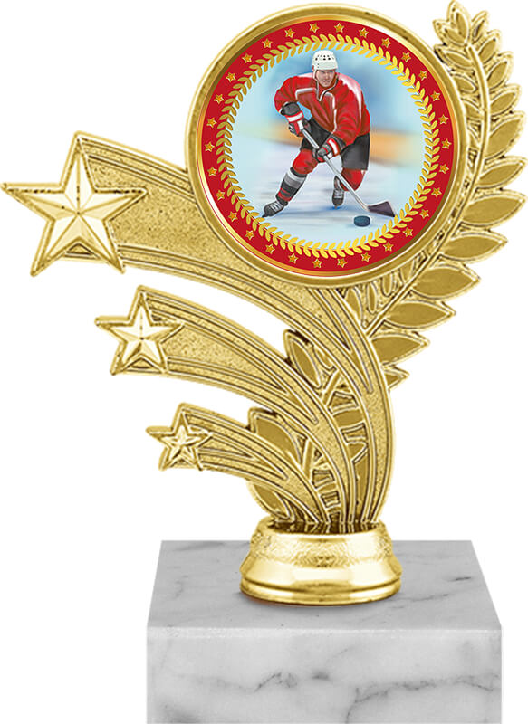 Награда хоккей